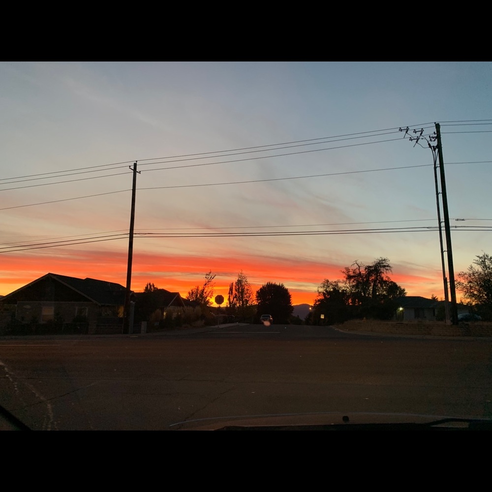 Meet your Posher, Sasha